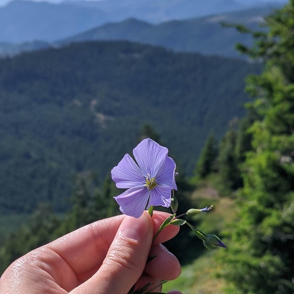 Meet your Posher, Samantha - Picture 1 of 1